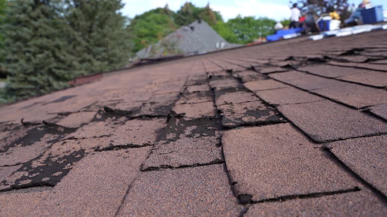 Reliable Reedsville, WI Roofing Service Solutions