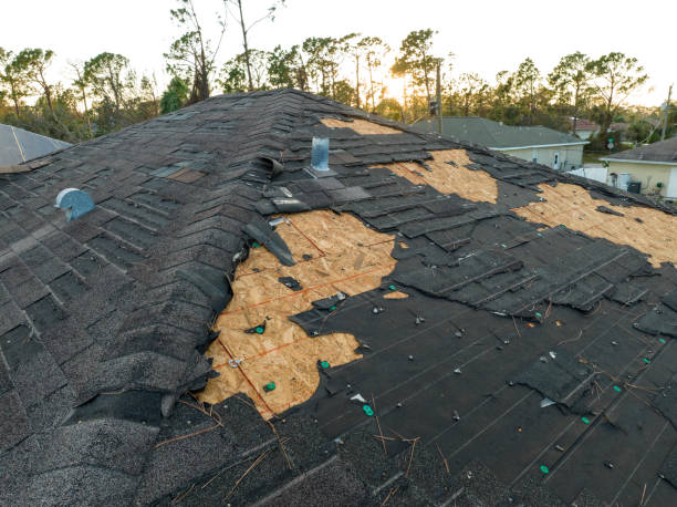 Best Hot Roofs  in Reedsville, WI